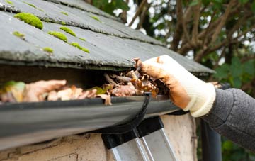 gutter cleaning New Holland